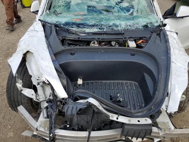 2023 TESLA MODEL 3 #3287509994