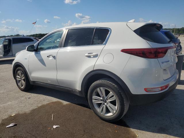 2019 KIA SPORTAGE LX - KNDPMCAC8K7513584