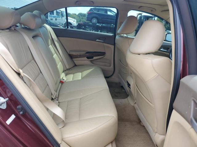 2010 HONDA ACCORD EXL - 1HGCP2F85AA169025