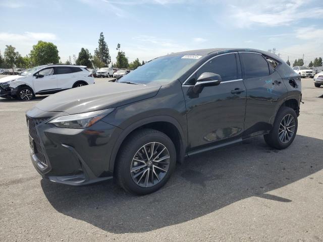 LEXUS NX 350H BA