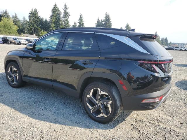 2024 HYUNDAI TUCSON LIMITED KM8JECD1XRU243438