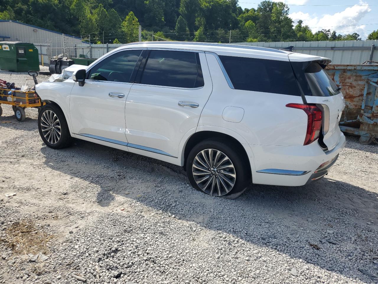 HYUNDAI PALISADE CALLIGRAPHY