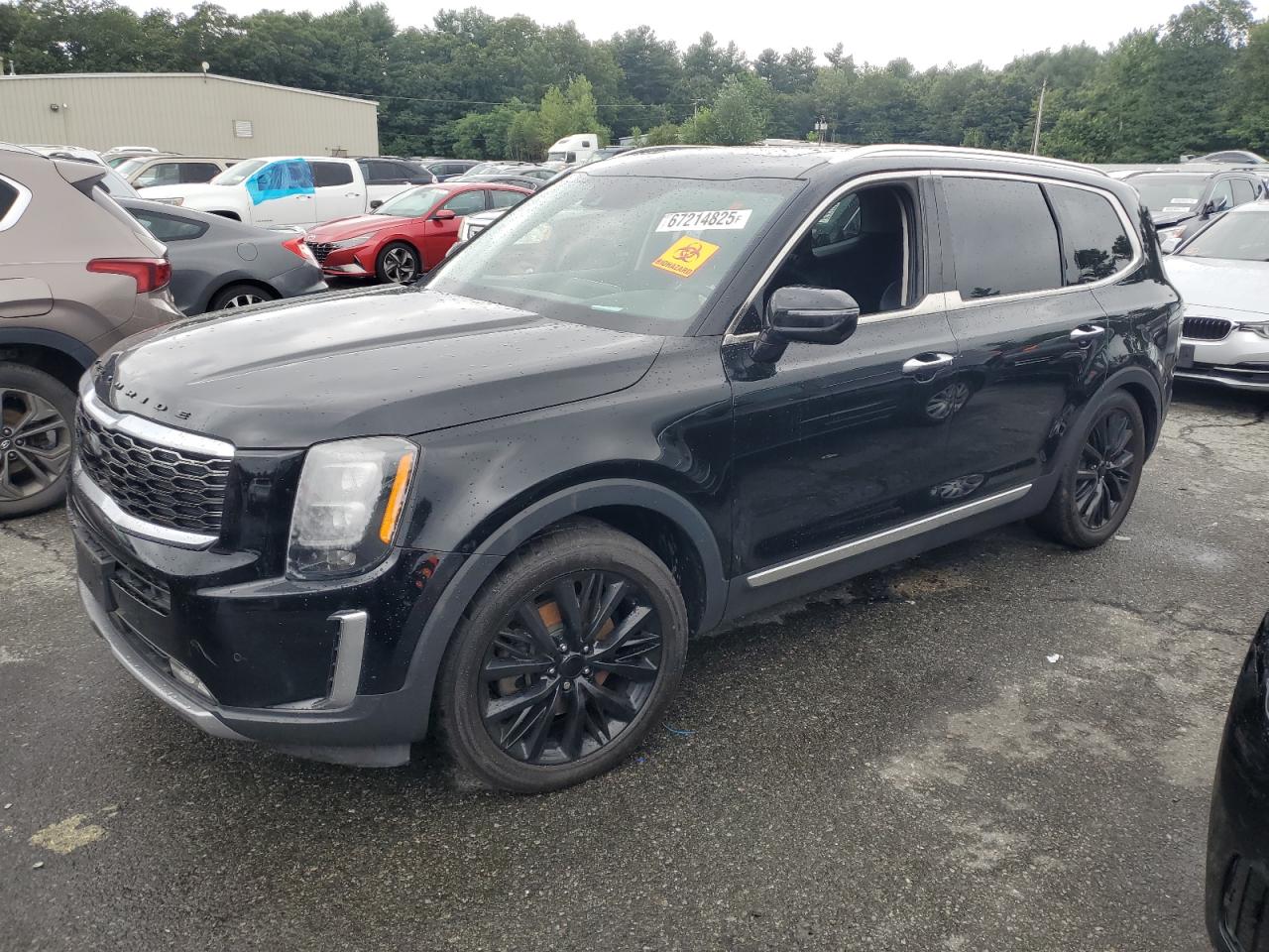 KIA TELLURIDE SX
