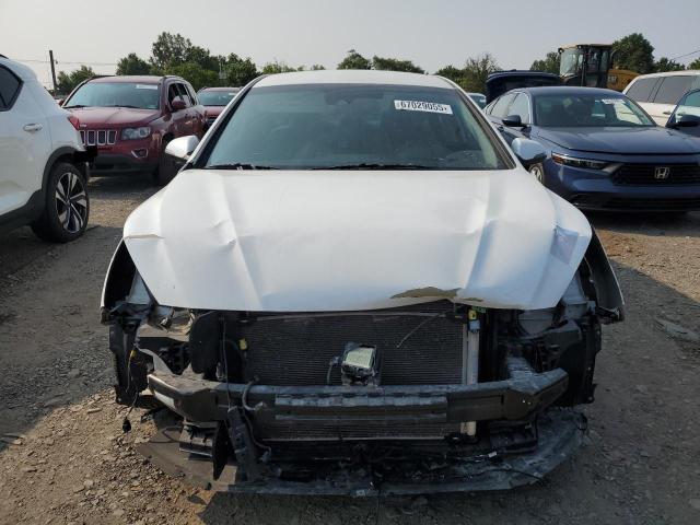 2019 HYUNDAI SONATA LIM 5NPE34AF9KH797068