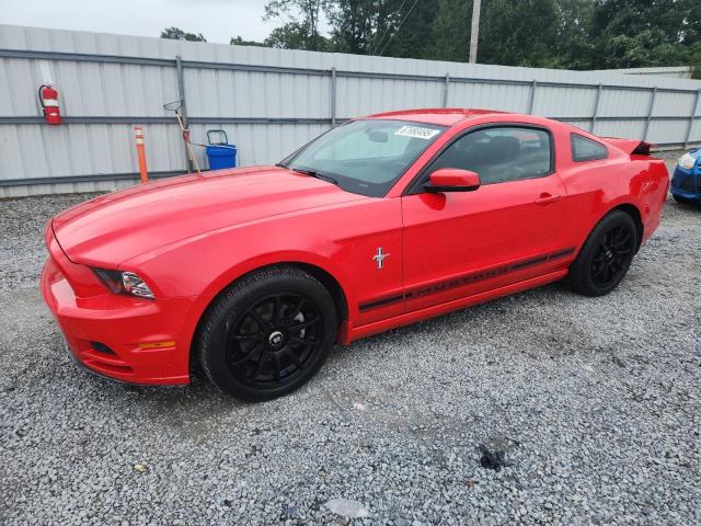 2013 FORD MUSTANG - 1ZVBP8AM0D5263311