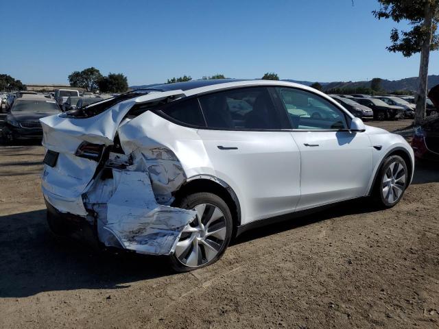 2021 TESLA MODEL Y 5YJYGAEE7MF256300