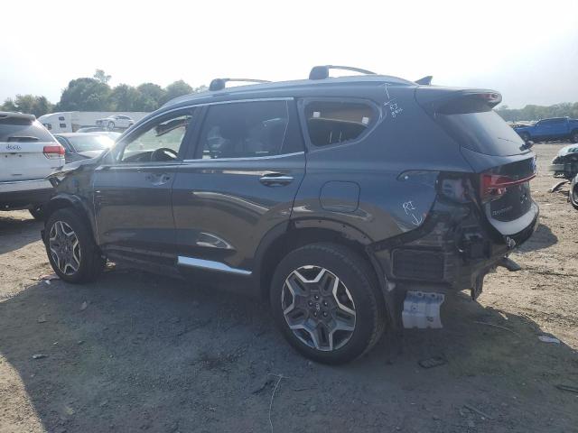 2023 HYUNDAI SANTA FE SEL PREMIUM - 5NMS3DA17PH023459