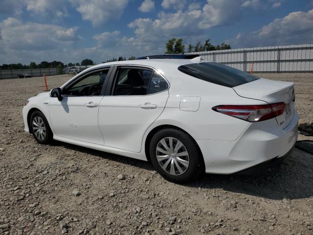 2019 TOYOTA CAMRY LE - 4T1B31HK3KU515996
