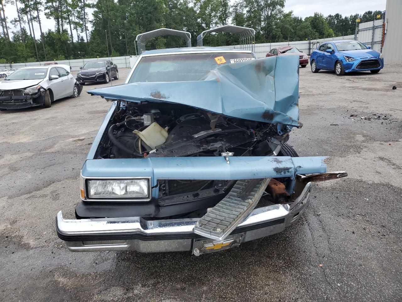 Lot #3240247024 1989 CHEVROLET CAPRICE CL