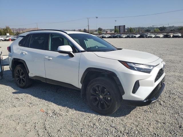 2024 TOYOTA RAV4 SE 4T3T6RFV1RU144894