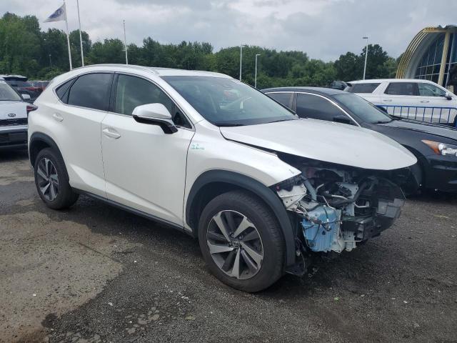 2019 LEXUS NX 300 BAS - JTJBARBZ2K2184500
