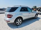 Lot #3296947832 2010 MERCEDES-BENZ ML 350