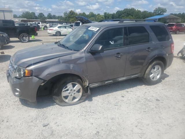 FORD ESCAPE XLT