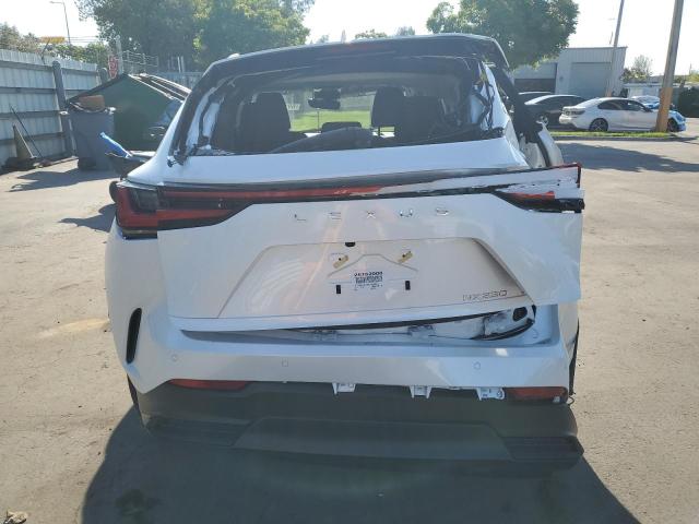 2025 LEXUS NX 250 BAS 2T2ADCAZ5SC026055