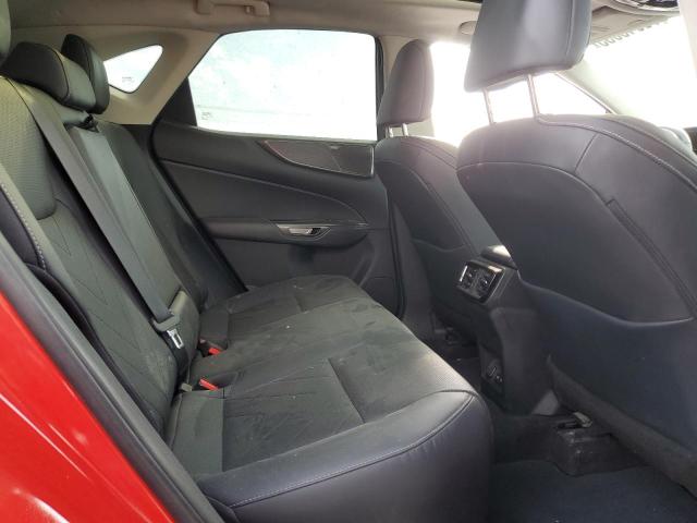 2024 LEXUS NX 350 LUXURY 2T2HGCEZ2RC039355