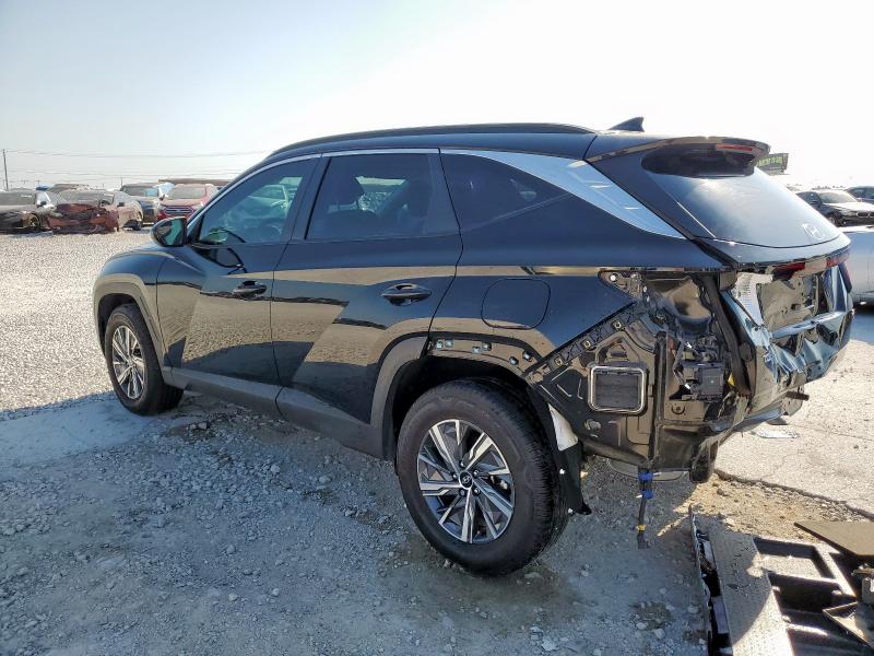 2024 HYUNDAI TUCSON BLU KM8JBCD12RU211981