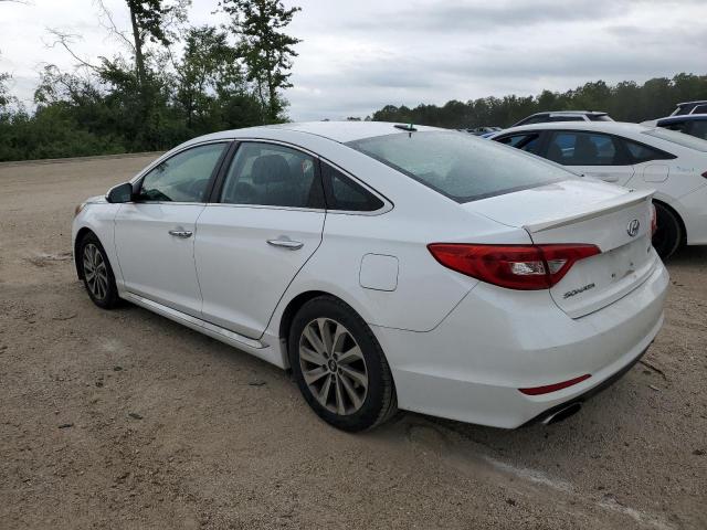 2015 HYUNDAI SONATA SPO 5NPE34AFXFH080460