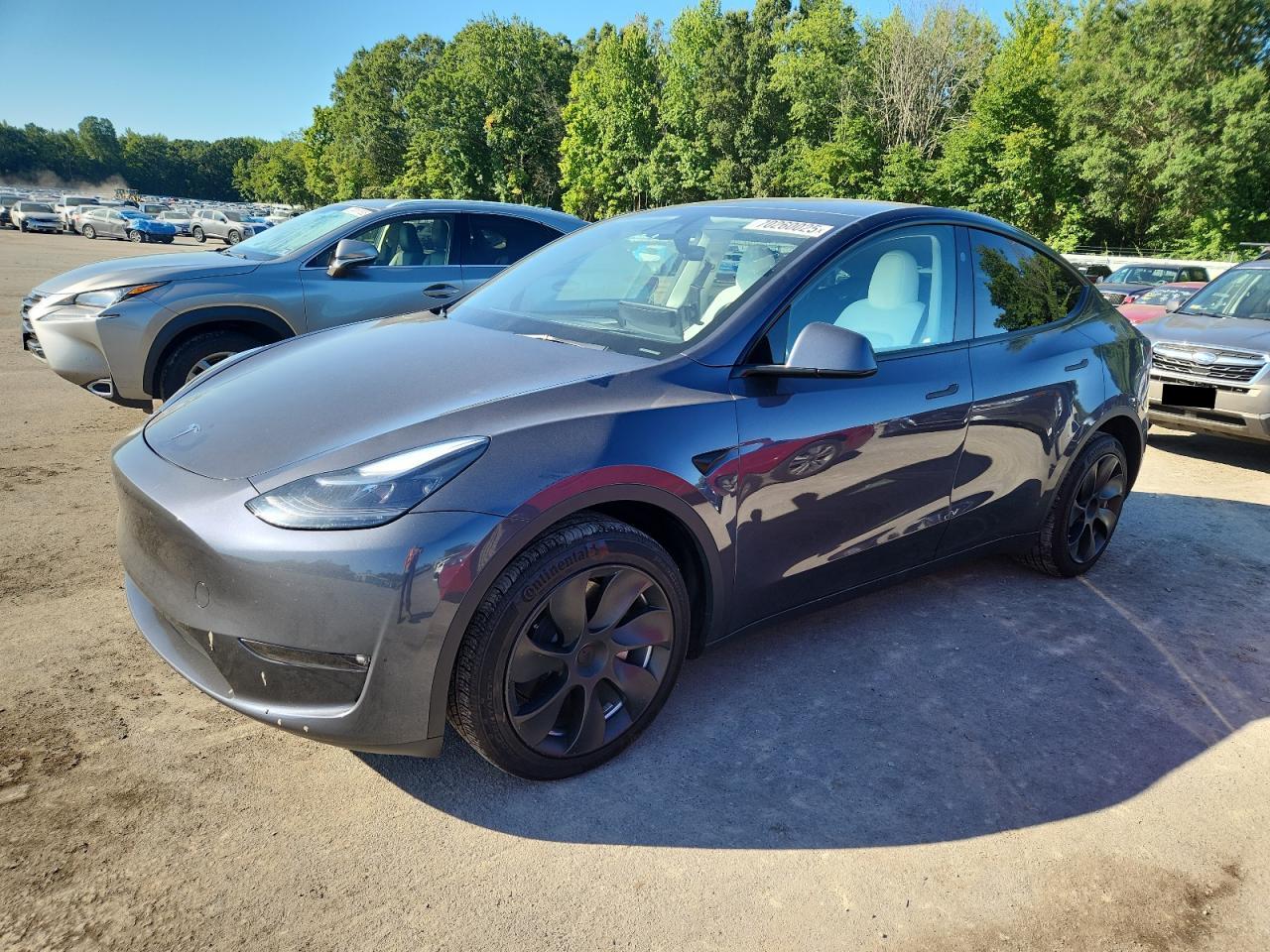 TESLA MODEL Y
