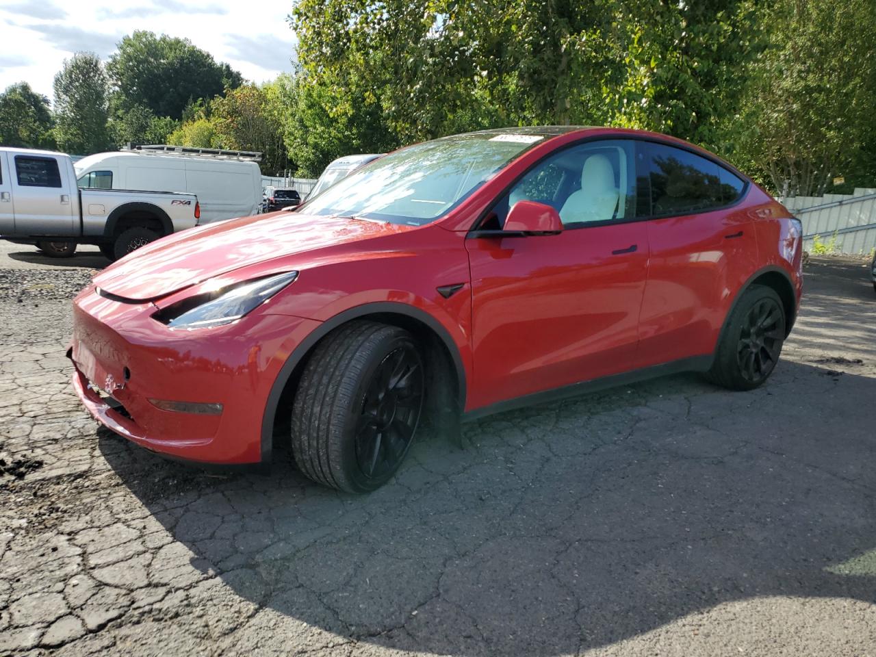 TESLA MODEL Y