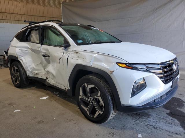 2024 HYUNDAI TUCSON SEL KM8JCCD13RU202509