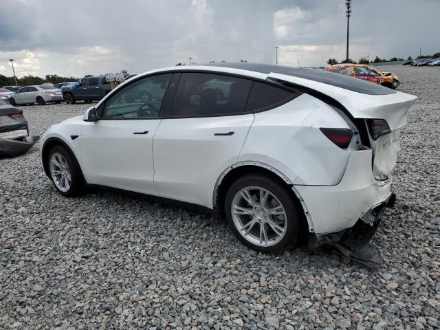 2023 TESLA MODEL Y 7SAYGDEE4PA155088