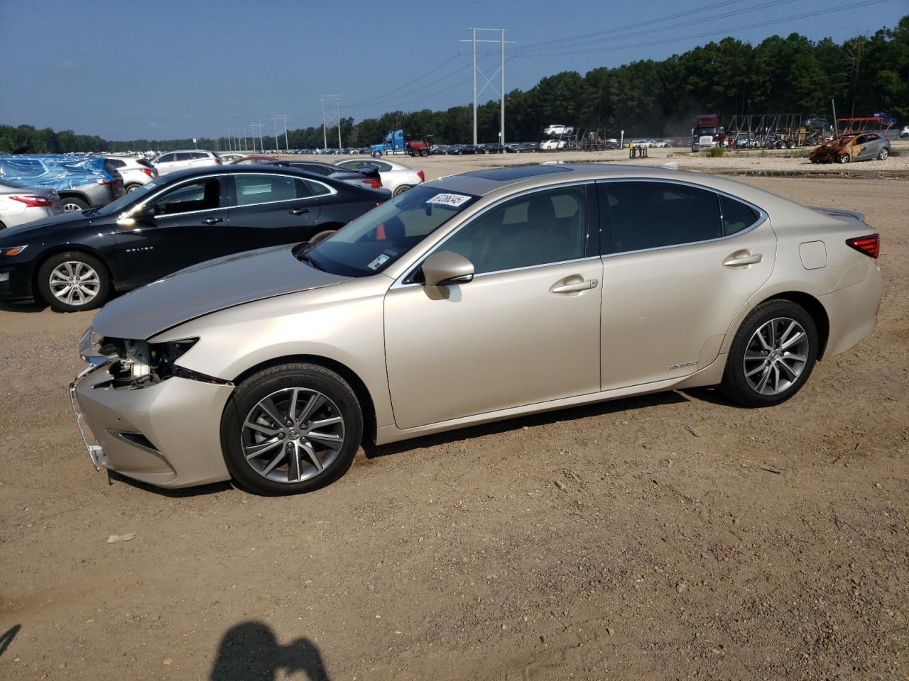 LEXUS ES 300H