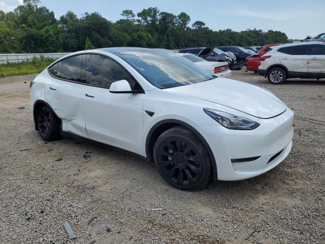 2023 TESLA MODEL Y 7SAYGDEE5PF690904