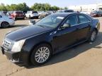 Top Destinations for Shipping Cars from the USA