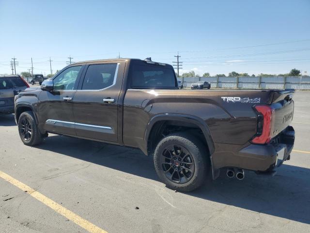 2023 TOYOTA TUNDRA CREWMAX PLATINUM 5TFMA5EC1PX013355