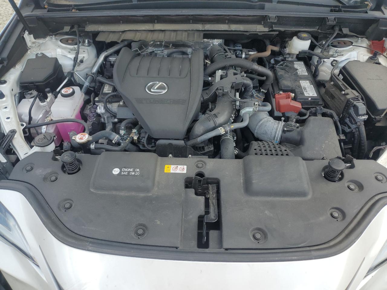 LEXUS NX 350 PREMIUM