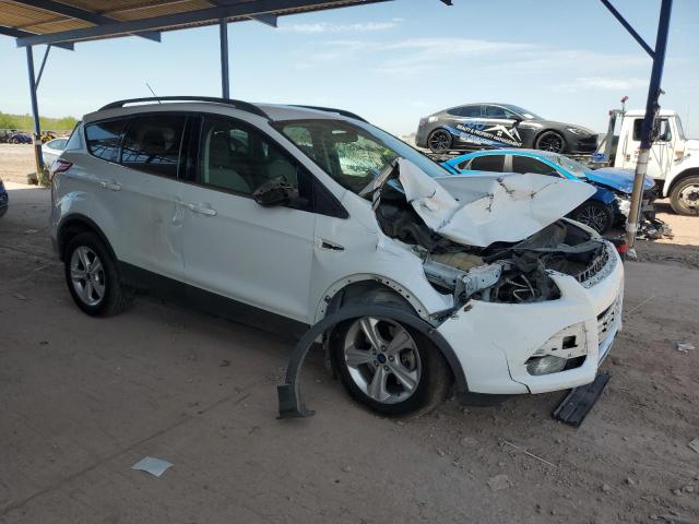 2014 FORD ESCAPE SE - 1FMCU0G98EUE41036
