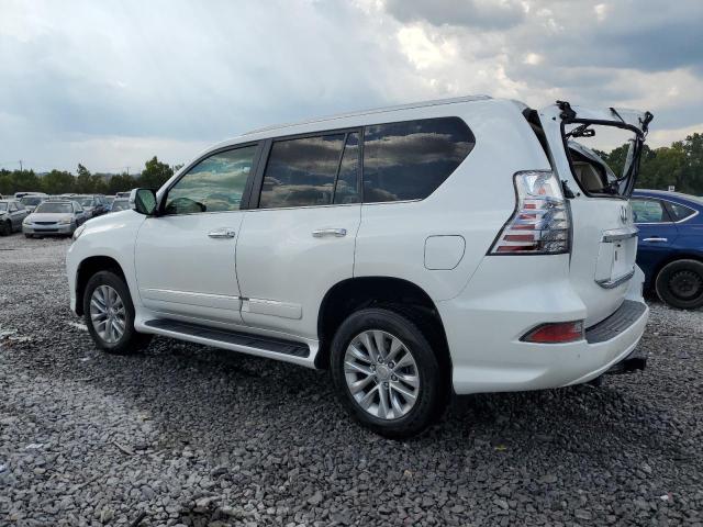 2019 LEXUS GX 460 JTJBM7FX0K5217481