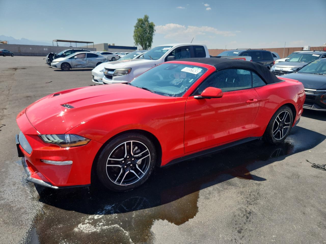 FORD MUSTANG