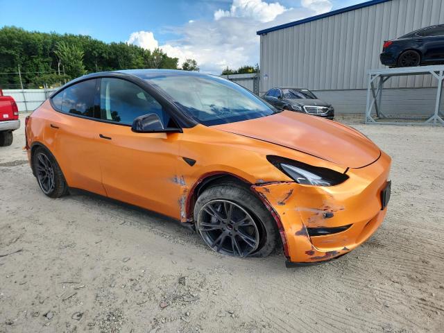 2025 TESLA MODEL Y 7SAYGDED0SF256406