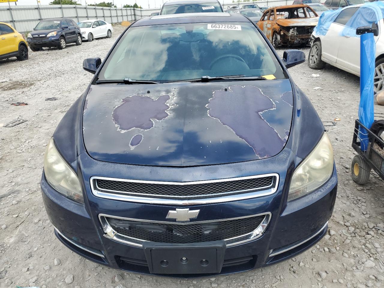 Lot #3296509689 2008 CHEVROLET MALIBU 1LT