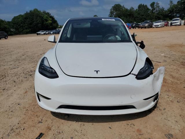 2021 TESLA MODEL Y #3308228163