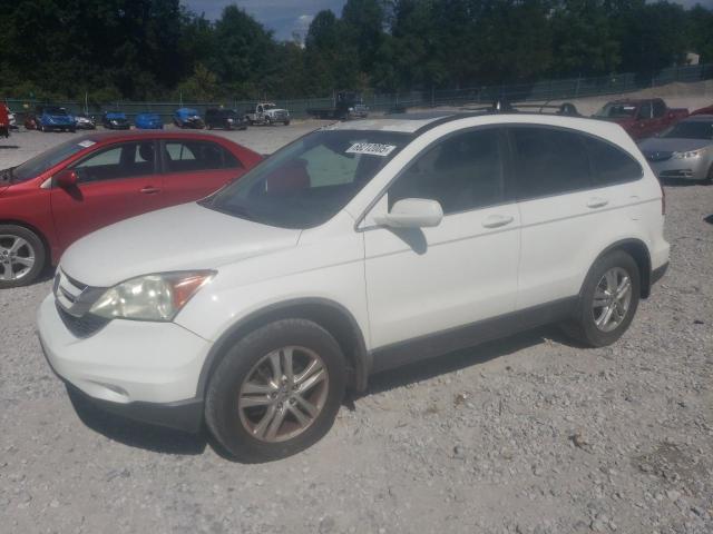 Global Auto Auctions: 2011 HONDA CR-V EXL