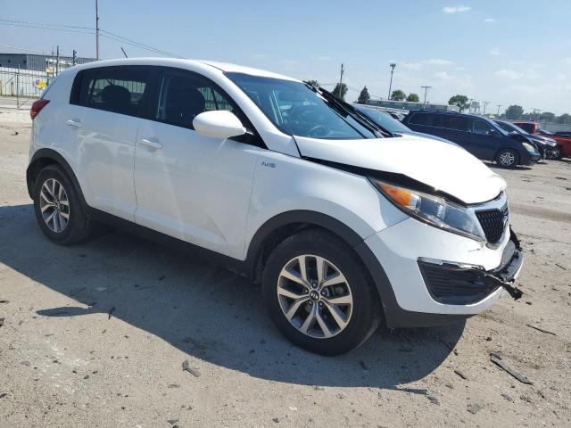 2016 KIA SPORTAGE LX KNDPBCAC6G7848730