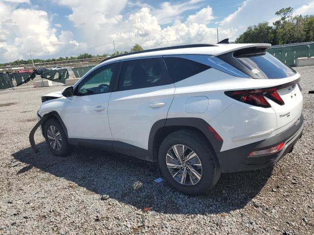 2024 HYUNDAI TUCSON BLU KM8JBCD15RU219198