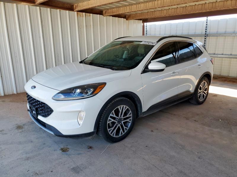FORD ESCAPE SEL