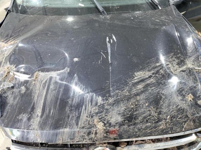 2023 VOLKSWAGEN TIGUAN SE 3VVMB7AX4PM016811