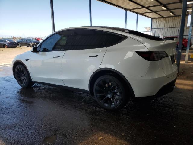 2023 TESLA MODEL Y 7SAYGDEE1PF781748