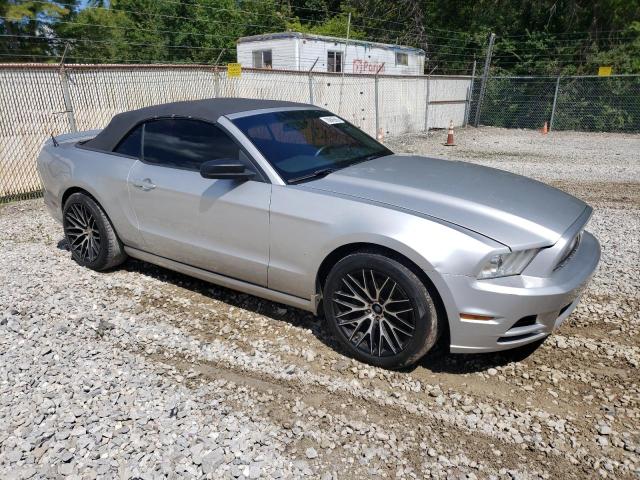 2013 FORD MUSTANG - 1ZVBP8EM8D5242197