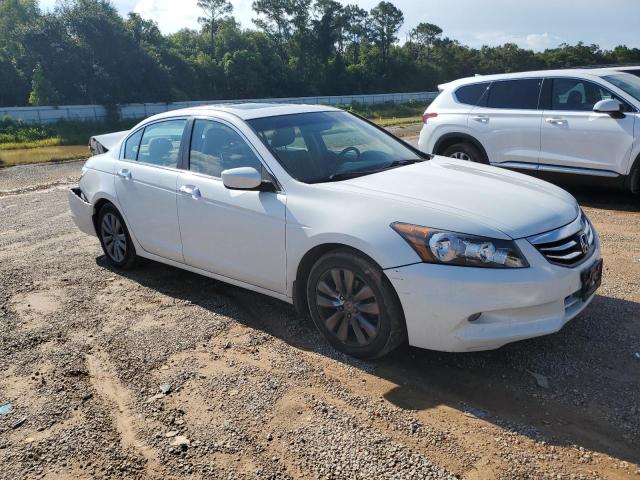 2011 HONDA ACCORD EXL - 1HGCP3F89BA024514