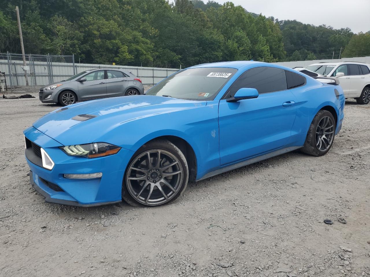 Lot #3291221980 2023 FORD MUSTANG