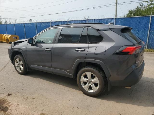 2019 TOYOTA RAV4 XLE 2T3RWRFV6KW045018