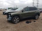 2019 JEEP CHEROKEE L - 1C4PJMDX5KD138428