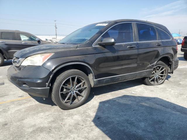 HONDA CR-V LX