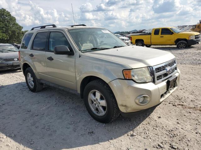 2010 FORD ESCAPE XLT - 1FMCU9DG4AKD22168