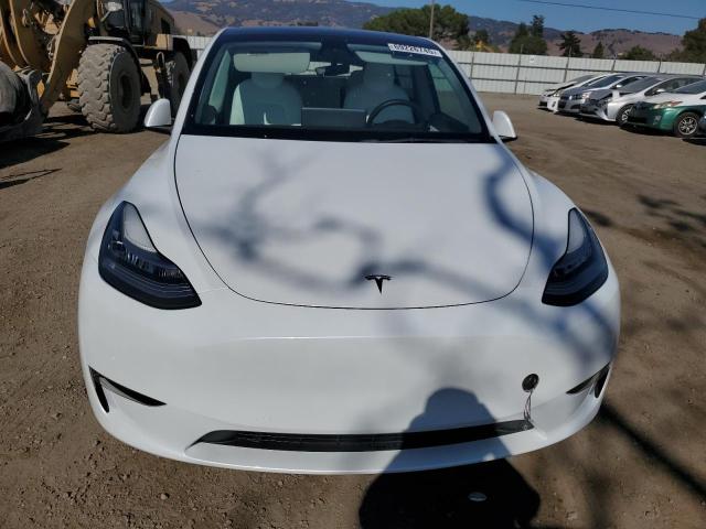 2021 TESLA MODEL Y 5YJYGAEE7MF256300